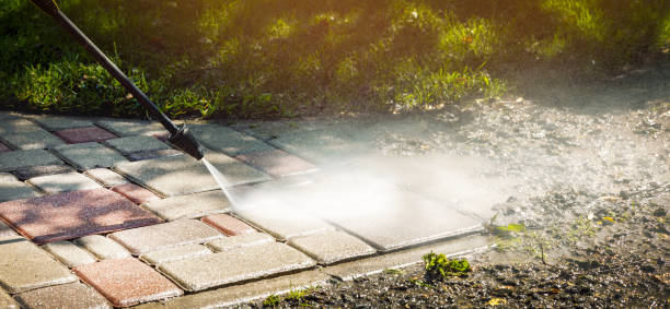 Best Dumpster Area Cleaning  in Orono, MN